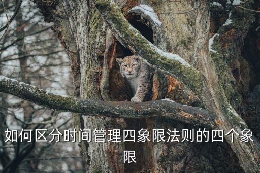 時間管理四象限，時間管理方法中的四象限法哪些描述是正確的