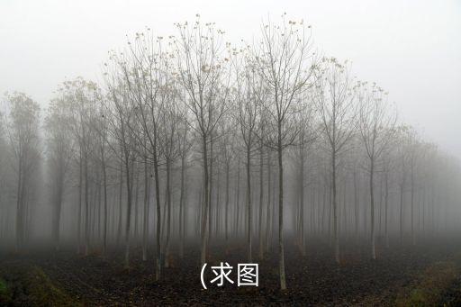 女生漫畫圖片,日本是世界動(dòng)漫強(qiáng)國(guó)集全國(guó)所有專業(yè)漫畫家創(chuàng)作