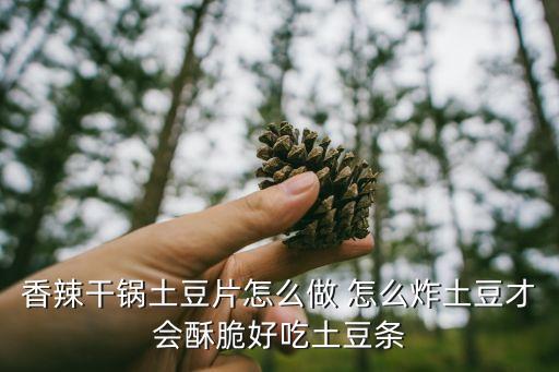 香辣干鍋土豆片怎么做 怎么炸土豆才會酥脆好吃土豆條
