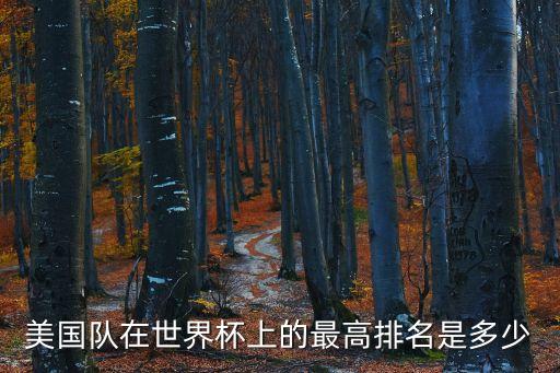 美國足球隊，美國足球怎么樣
