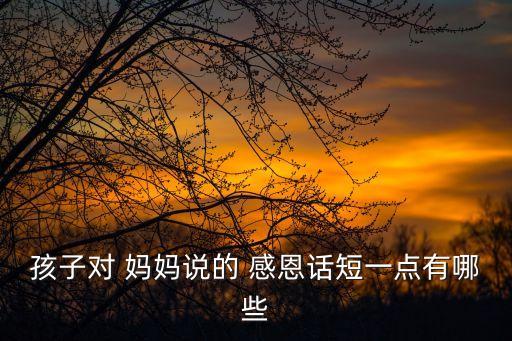 孩子對(duì) 媽媽說的 感恩話短一點(diǎn)有哪些