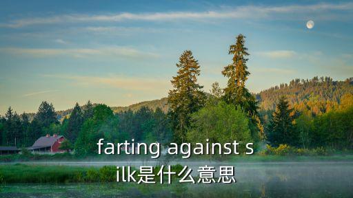 farting against silk是什么意思