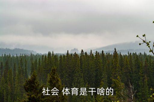  社會(huì) 體育是干啥的