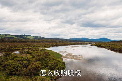 怎么收購股權