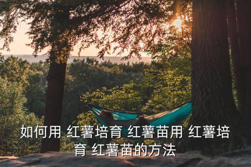 如何用 紅薯培育 紅薯苗用 紅薯培育 紅薯苗的方法