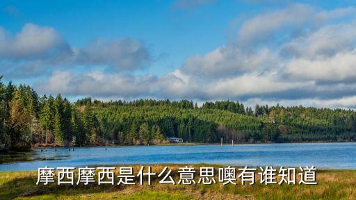 摩西摩西是什么意思噢有誰知道