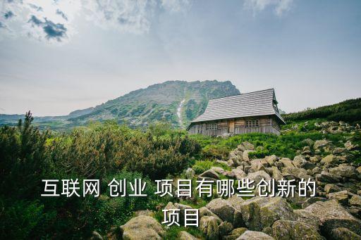  互聯(lián)網(wǎng) 創(chuàng)業(yè) 項(xiàng)目有哪些創(chuàng)新的 項(xiàng)目