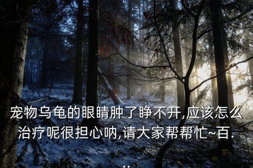 反抗的眼差,我家也是巴西龜大有時候被別人當(dāng)軟柿子