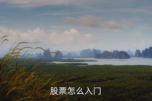股票怎么入門