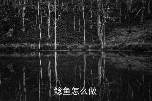 鯰魚怎么做