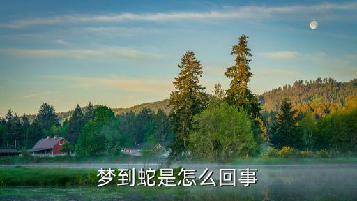 夢(mèng)到蛇是怎么回事