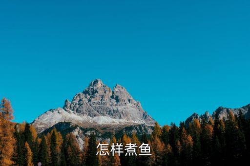 怎么煮魚，怎樣煮魚