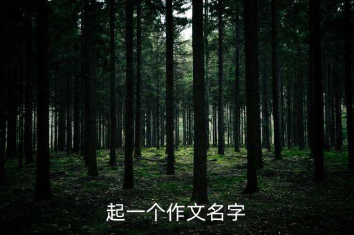 起一個作文名字