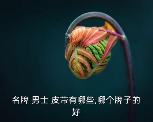 名牌 男士 皮帶有哪些,哪個牌子的好