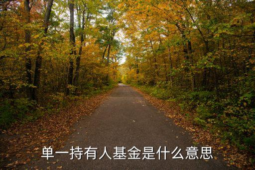 單一人，單一持有人基金是什么意思