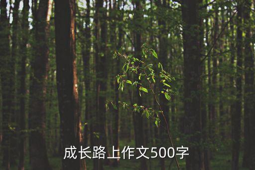 成長路上作文500字