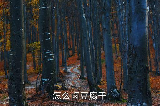 怎么鹵豆腐干