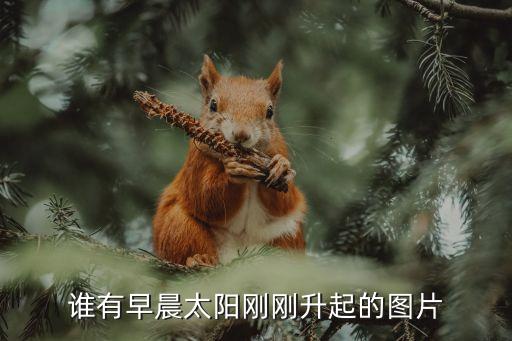 誰有早晨太陽剛剛升起的圖片