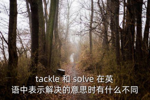 tackle 和 solve 在英語中表示解決的意思時有什么不同