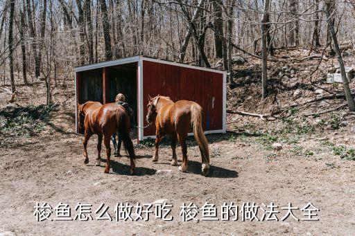 梭魚的做法，梭魚的做法