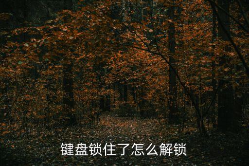 鍵盤鎖住了怎么解鎖
