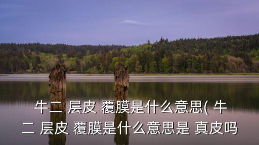 牛二層皮覆膜是真皮嗎,牛二層皮覆膜有何不同?