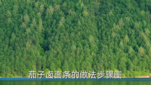 茄子鹵面條的做法步驟圖
