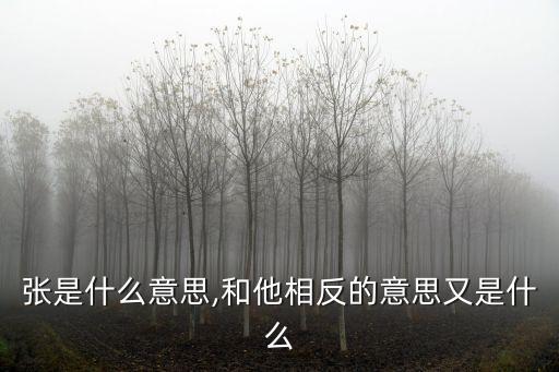 張的反義詞,不慌不忙穩如泰山?