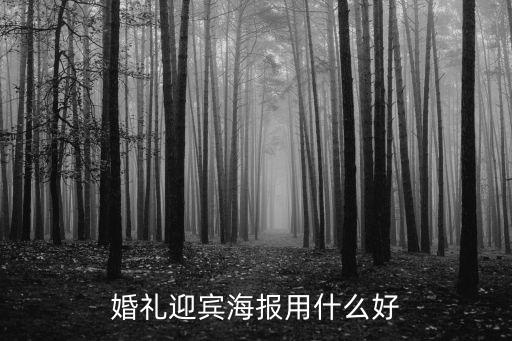 婚禮迎賓海報用什么好