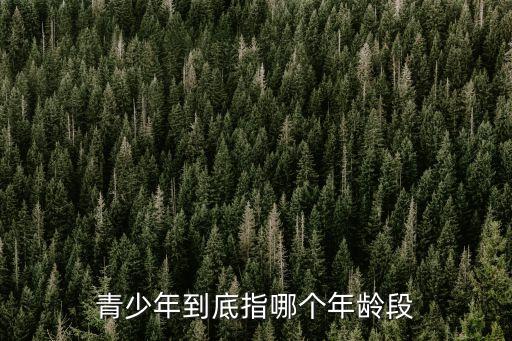 青少年到底指哪個年齡段