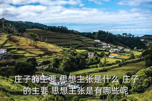 莊子思想,這些人是否認真的?