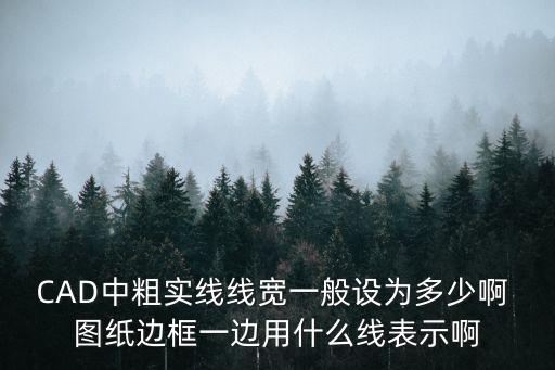 CAD中粗實線線寬一般設為多少啊 圖紙邊框一邊用什么線表示啊