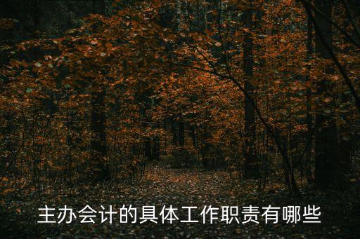 主辦會計(jì)崗位職責(zé)，主辦會計(jì)的工作主要做什么