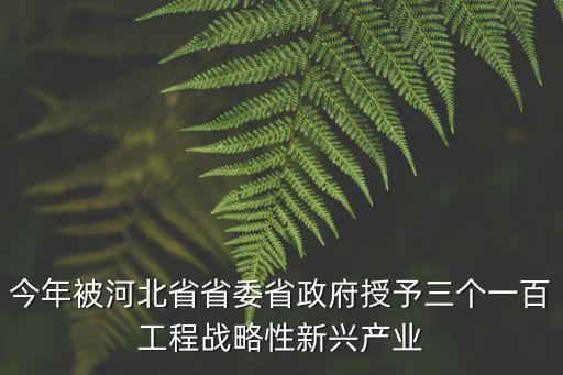三個一百年，今年被河北省省委省政府授予三個一百工程戰略性新興產業