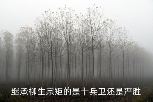 繼承柳生宗矩的是十兵衛(wèi)還是嚴(yán)勝
