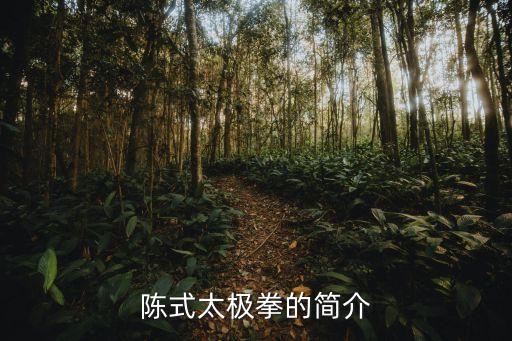 陳式太極拳的簡介