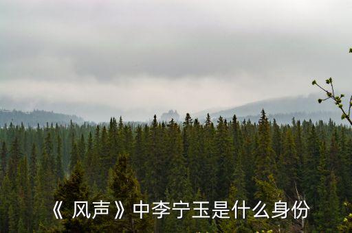 《 風(fēng)聲》中李寧玉是什么身份