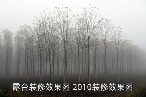 露臺裝修效果圖 2010裝修效果圖