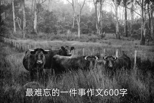 最難忘的一件事作文600字