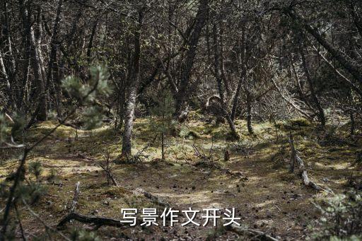 寫景的開頭，寫景作文開頭