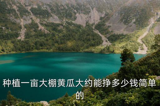 種植一畝大棚黃瓜大約能掙多少錢簡單的