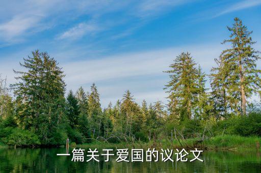 一篇關(guān)于愛國的議論文