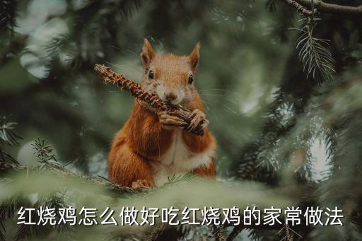 紅燒雞怎么做好吃紅燒雞的家常做法