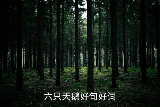 六只天鵝好句好詞