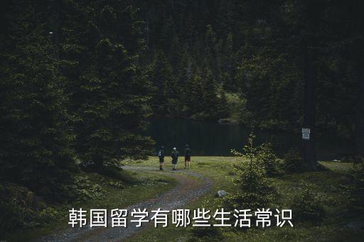 韓國留學(xué)生活，韓國留學(xué)生活