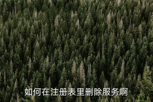 如何在注冊表里刪除服務(wù)啊
