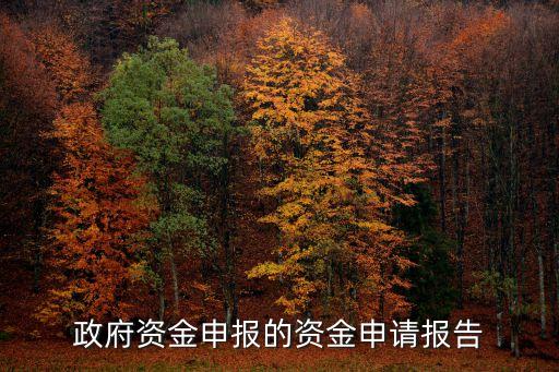 政府資金申報(bào)的資金申請(qǐng)報(bào)告