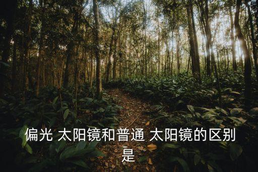 偏光鏡和太陽鏡的區別,偏光太陽鏡與一般太陽眼之別