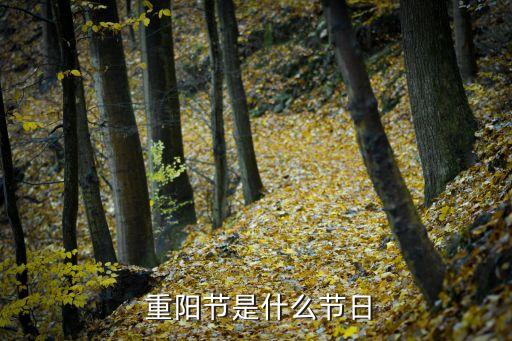  重陽節(jié)是什么節(jié)日