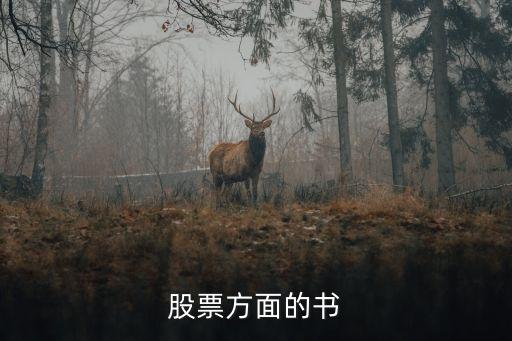 股票方面的書